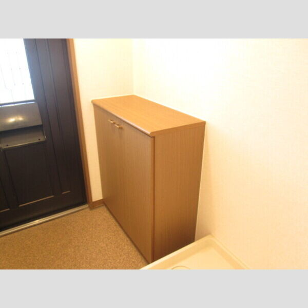 収納 (シューズBOX(カウンタータイプ))