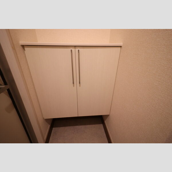 玄関 (シューズボックス)