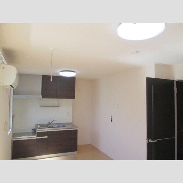 居室・リビング (LDK(照明器具有))