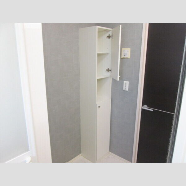 収納 (サニタリー収納)