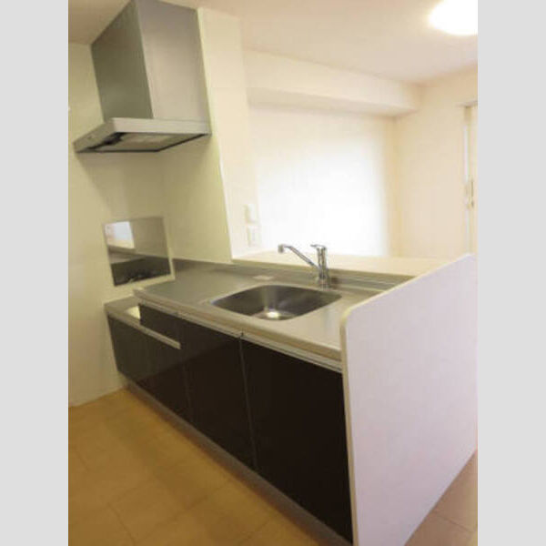 キッチン (対面キッチン)