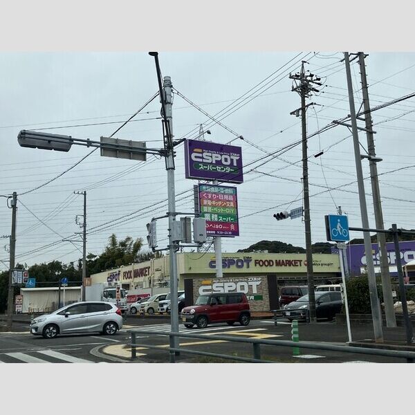 現地周辺 (業務スーパーエスポット藤枝店)