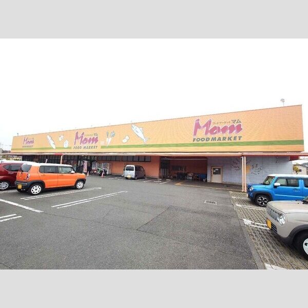 現地周辺 (フードマーケットMom相良店)