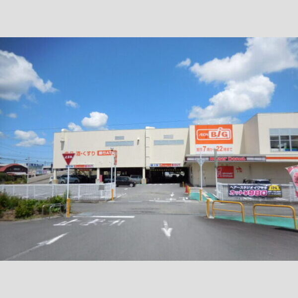 現地周辺 (ビッグ田沼店　(約270m))