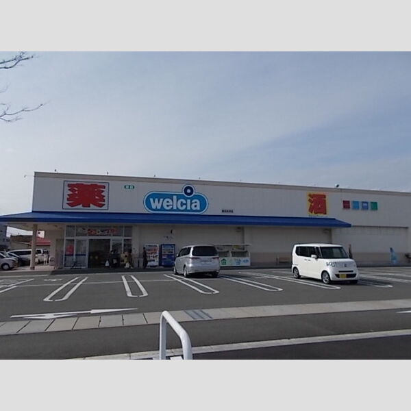 現地周辺 (ドラッグストア)