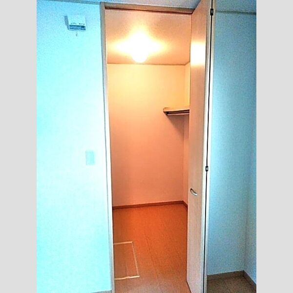 その他 (ウォークインクローゼット)