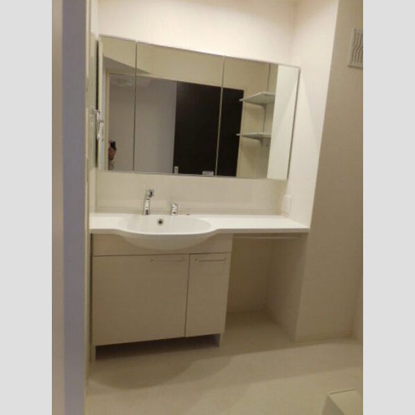 洗面所 (洗髪洗面化粧台)