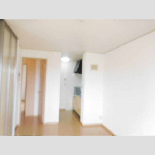 居室・リビング (DK)