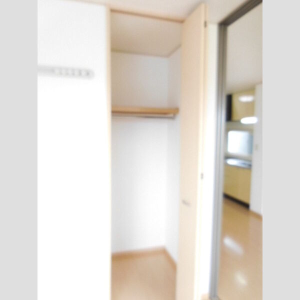 収納 (洋室 南 クローゼット)