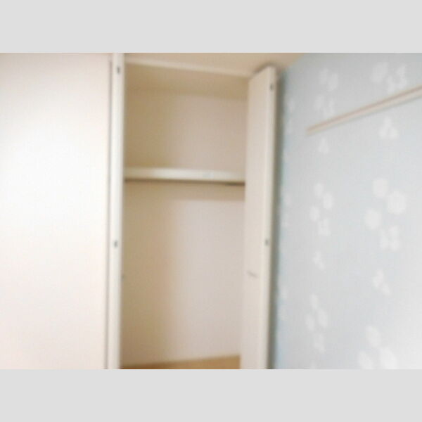 収納 (洋室 北西 クローゼット)
