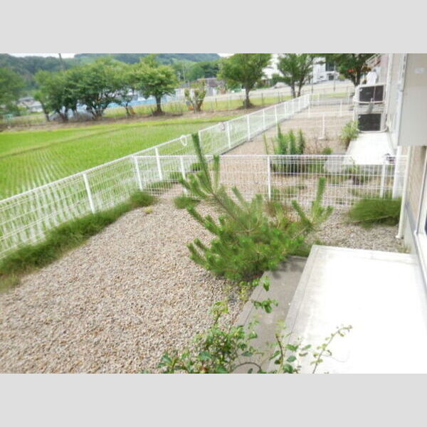 その他 (庭)