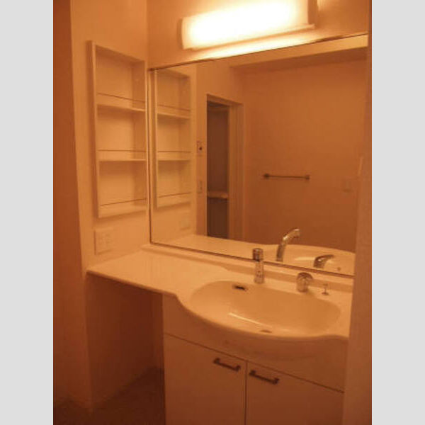 洗面所 (洗髪洗面化粧台)