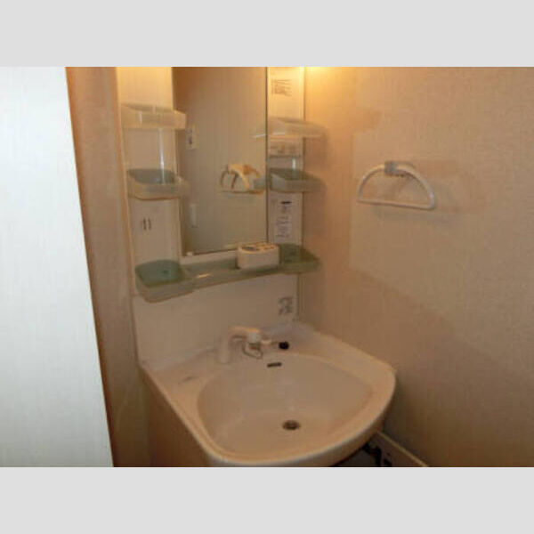 洗面所 (洗髪洗面化粧台)