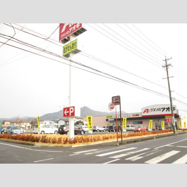 現地周辺 (大手薬局も近く(約100m)にあります。)