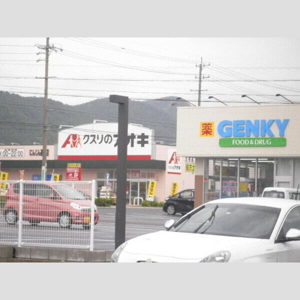 現地周辺 (ドラックストア)