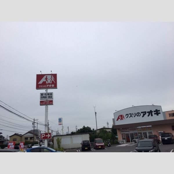 現地周辺 (クスリのアオキ川島店)