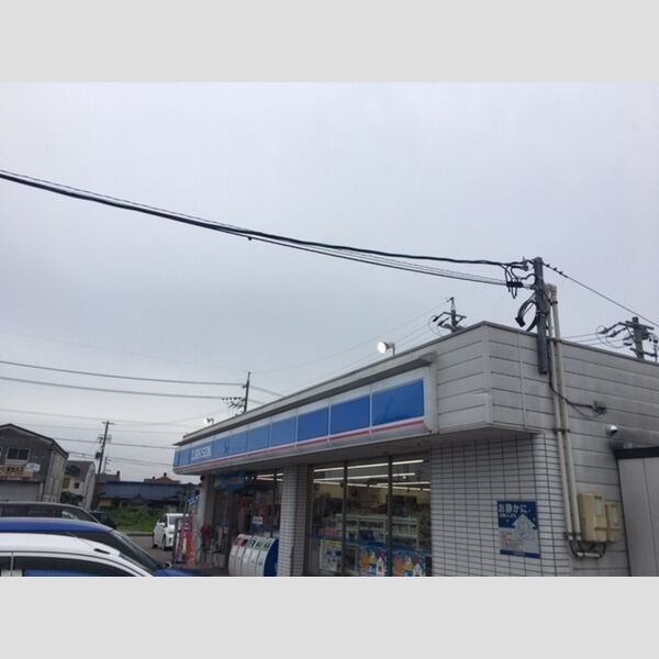 現地周辺 (ローソン川島松原町店)