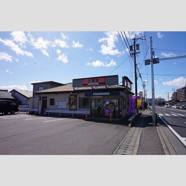 現地周辺 (吉野家21号線各務原店)