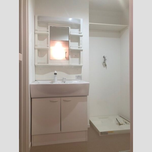 洗面所 (洗面所)