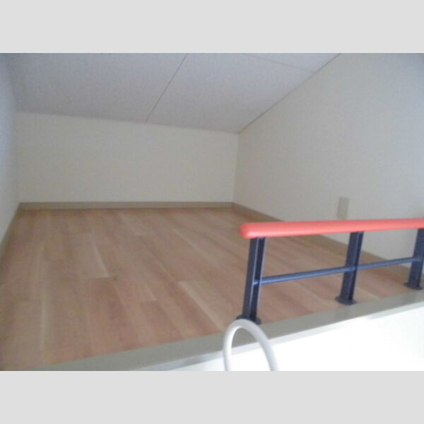 その他 (小屋裏収納)
