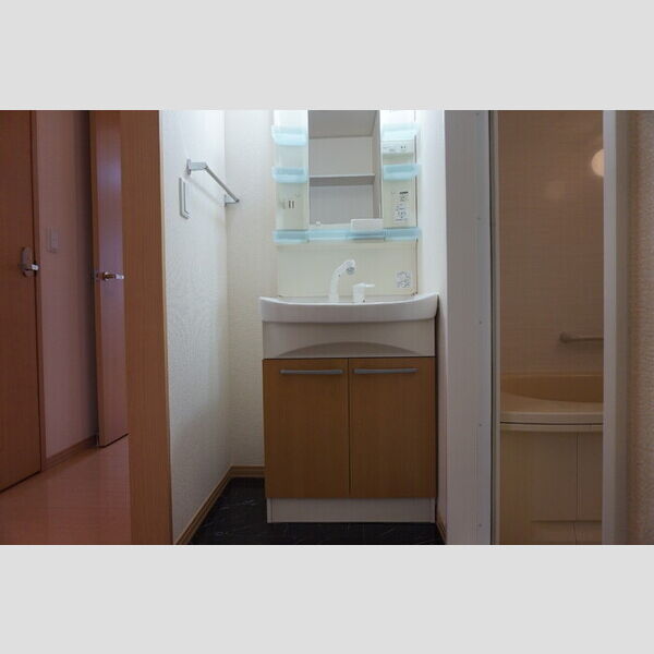 洗面所 (洗髪洗面化粧台)