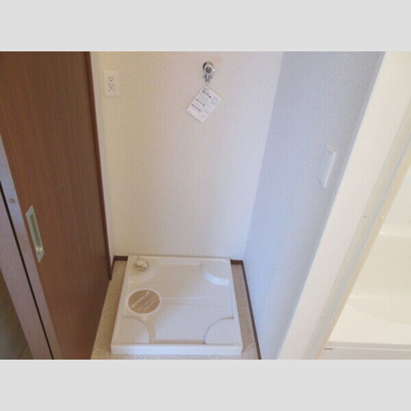 洗面所 (室内洗濯機置場)