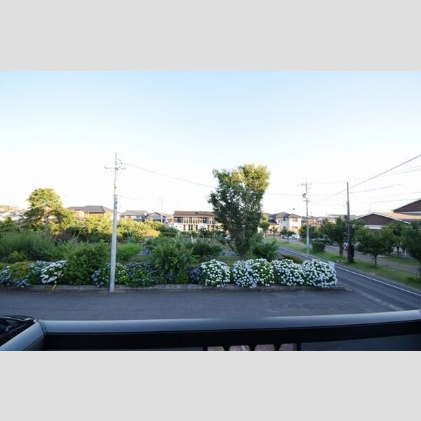 その他 (庭)