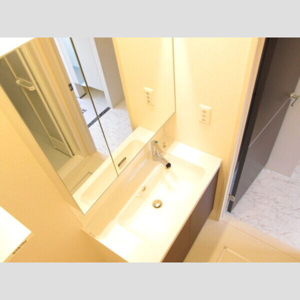 洗面所 (洗髪洗面化粧台)