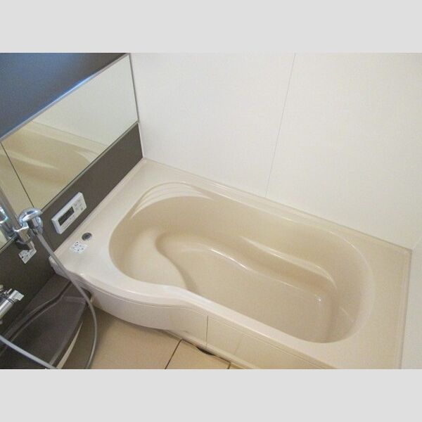 バス (一坪風呂)