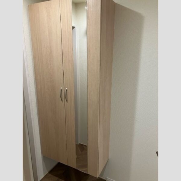 玄関 (シューズボックス)