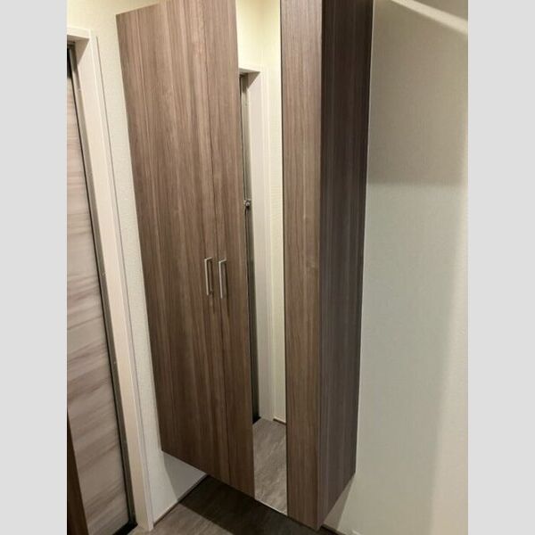 玄関 (シューズボックス)