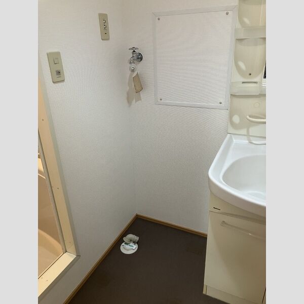 洗面所 (室内洗濯機置き場)