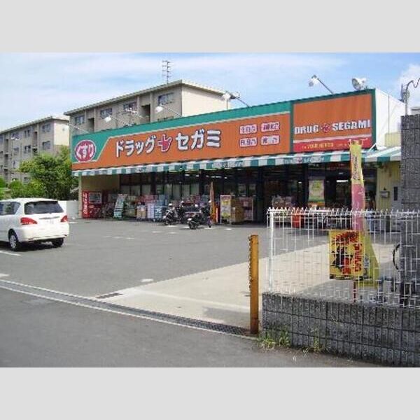 現地周辺 (ドラッグストア)