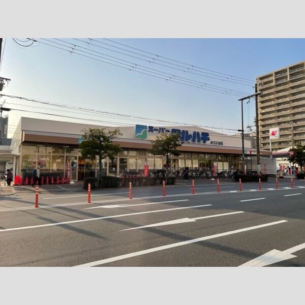 現地周辺 (スーパーマルハチみてじま店)