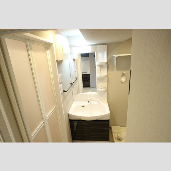 洗面所 (洗髪洗面化粧台)