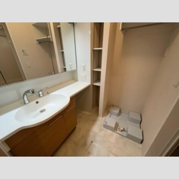 洗面所 (洗髪洗面化粧台・洗濯機置き場)