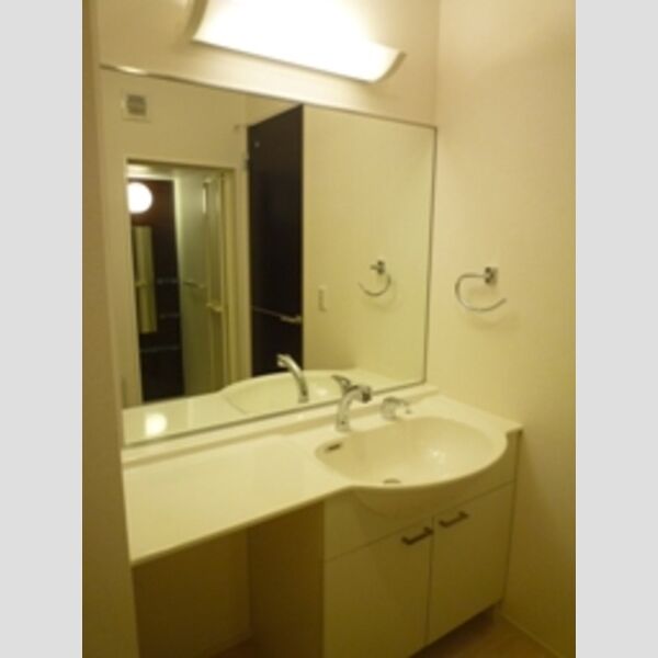 洗面所 (大型洗髪洗面化粧台)