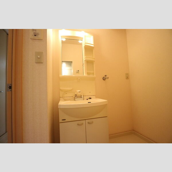 洗面所 (洗髪洗面化粧台)