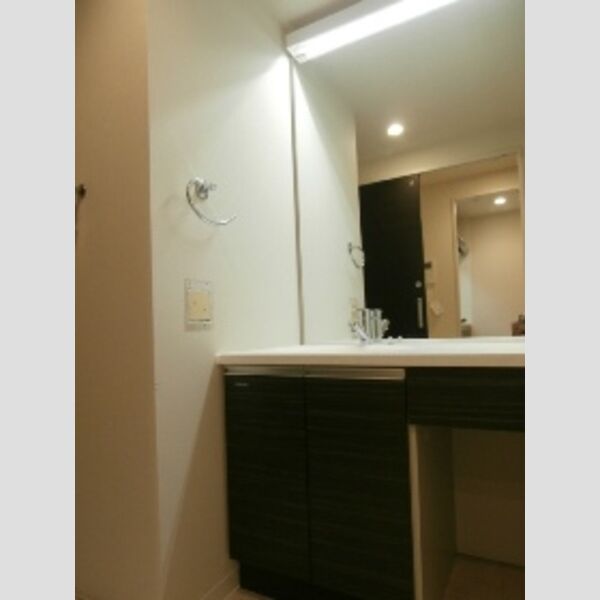 洗面所 (洗髪洗面化粧台)