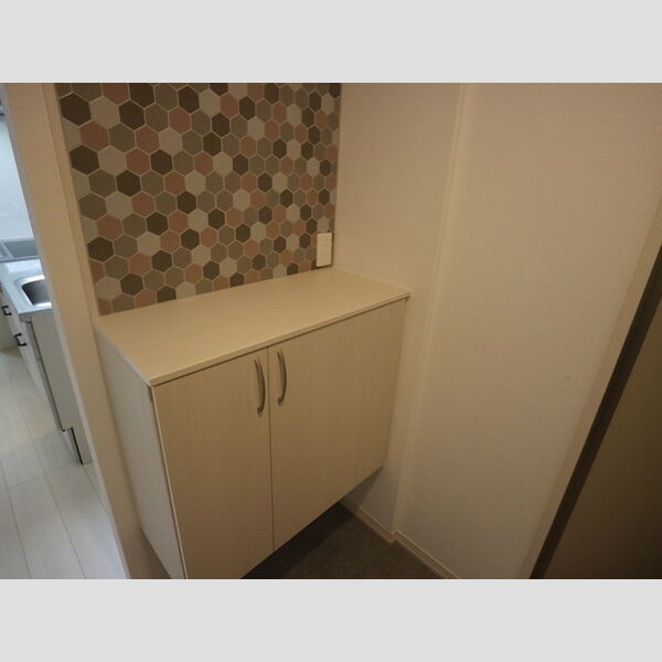 玄関 (シューズボックス(カウンター))