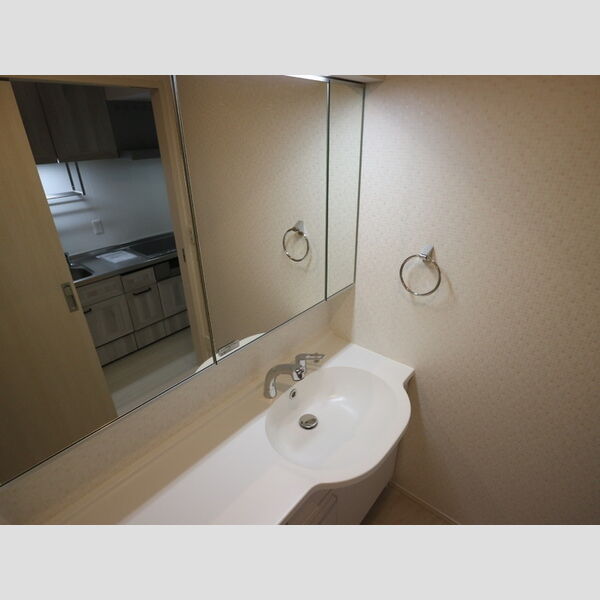 洗面所 (洗髪洗面台)