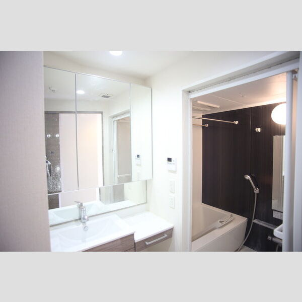 洗面所 (洗面所、洗髪洗面化粧台)