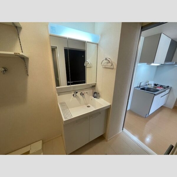 洗面所 (洗髪洗面化粧台)