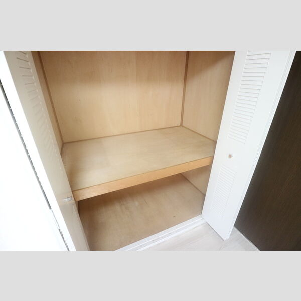 収納 (洋室(物入れ))