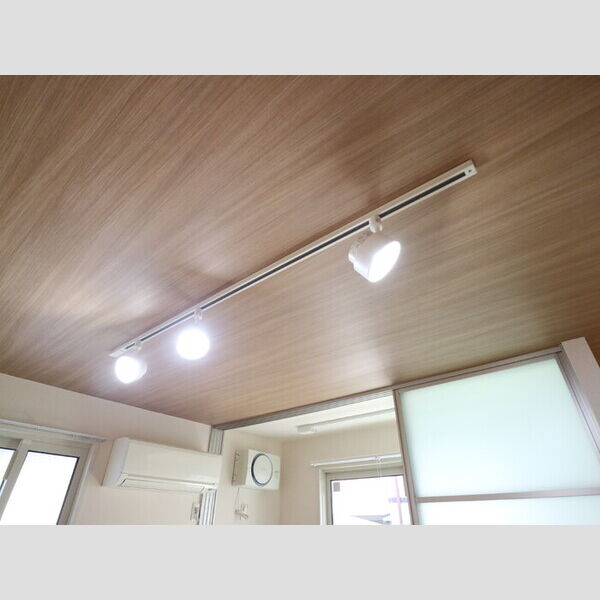 その他設備 (照明)