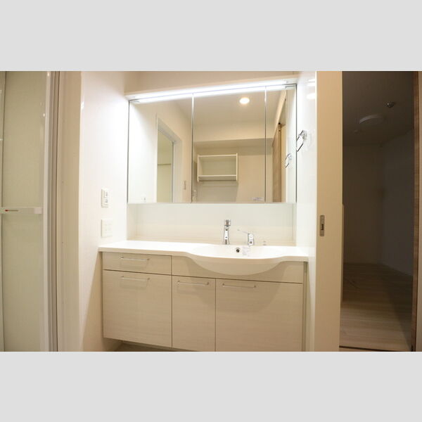 洗面所 (洗面所)