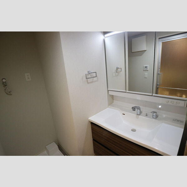 洗面所 (シャンプードレッサー)