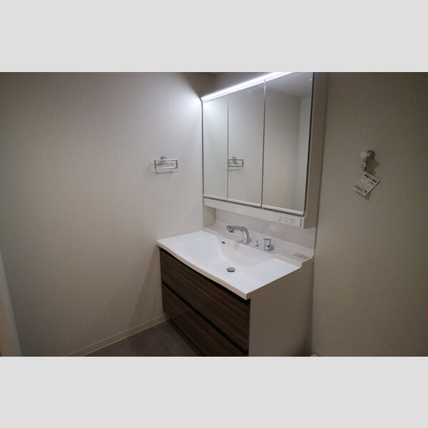 洗面所 (シャンプードレッサー)