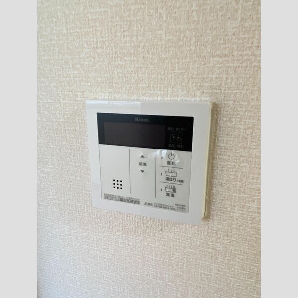 バス
