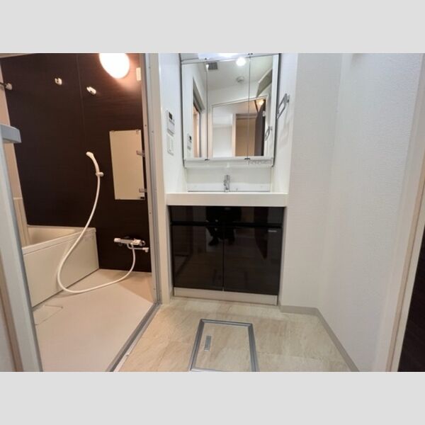 洗面所 (洗面所)